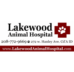 studio project 63 300x291