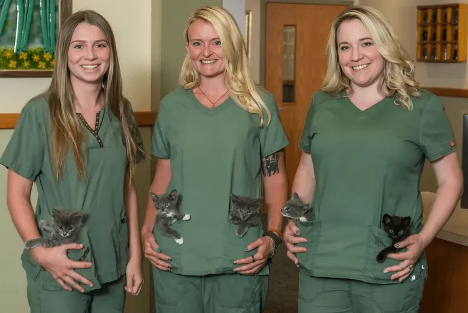 Three veterinary assistants with kittens tucked into their scrub pockets at Lakewood Animal Hospital